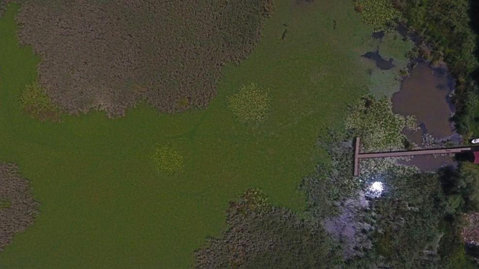 Efteni Kuş Cenneti drone ile görüntülendi