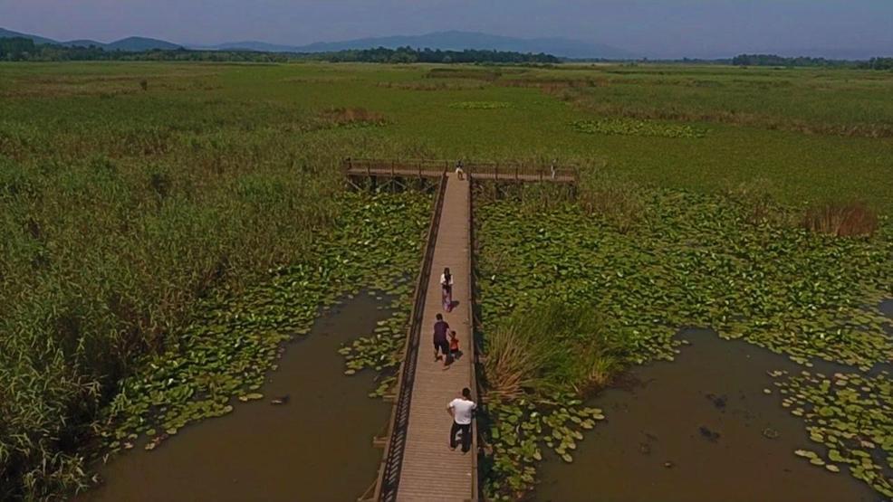 Efteni Kuş Cenneti drone ile görüntülendi