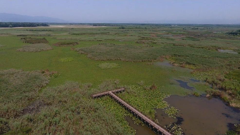 Efteni Kuş Cenneti drone ile görüntülendi