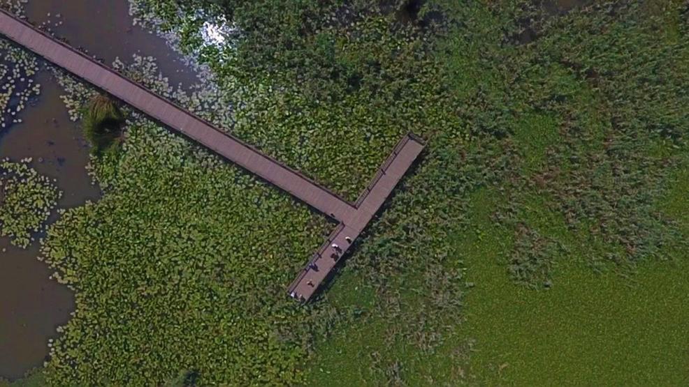 Efteni Kuş Cenneti drone ile görüntülendi