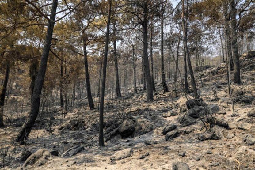 Orman yangınları büyük tahribat yarattı 2 saat ölümü ensemizde hissettik