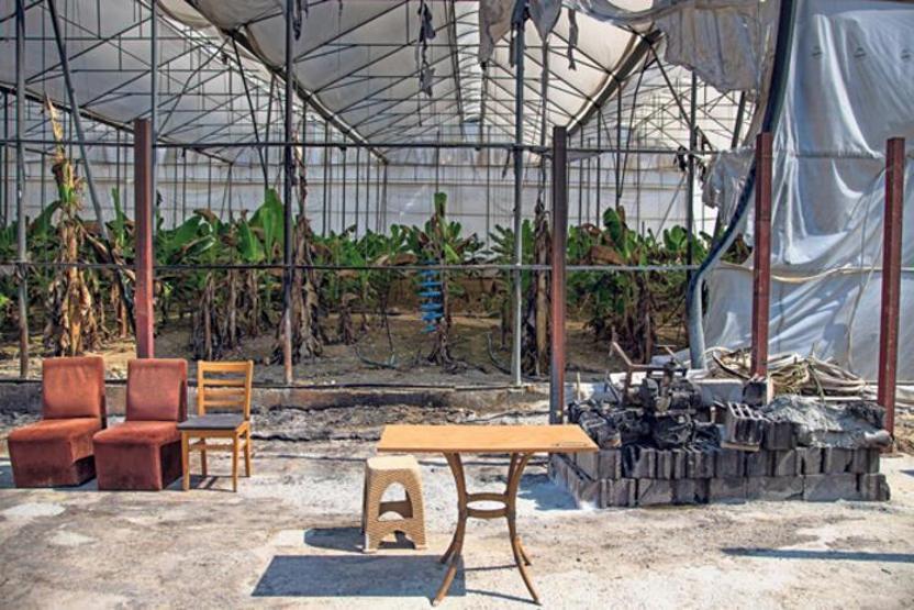 Orman yangınları büyük tahribat yarattı 2 saat ölümü ensemizde hissettik