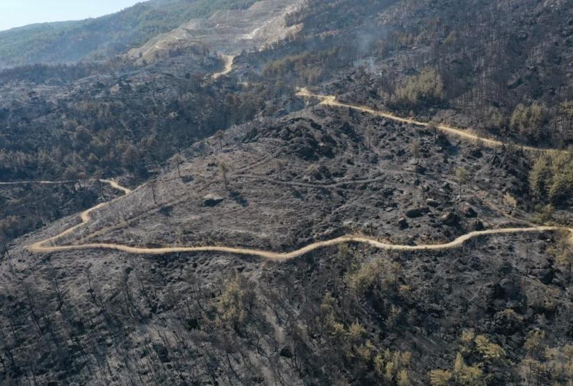 Çine için seferberlik: Ekipler alevlere tüm gücüyle saldırıyor