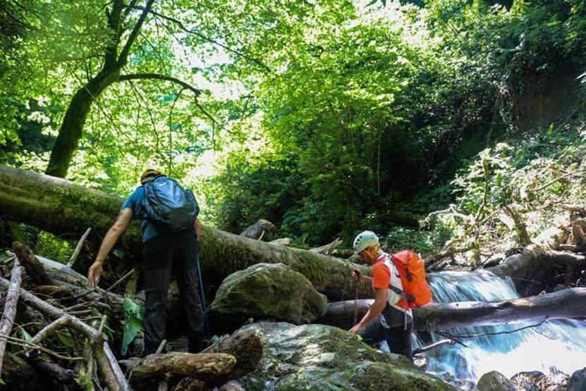 İstanbulda sıcaktan bunalan doğaseverler soluğu burada alıyor