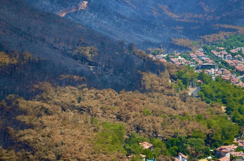Marmariste yangın sonrası görüntüler felaketin boyutunu bir kez daha gözler önüne serdi