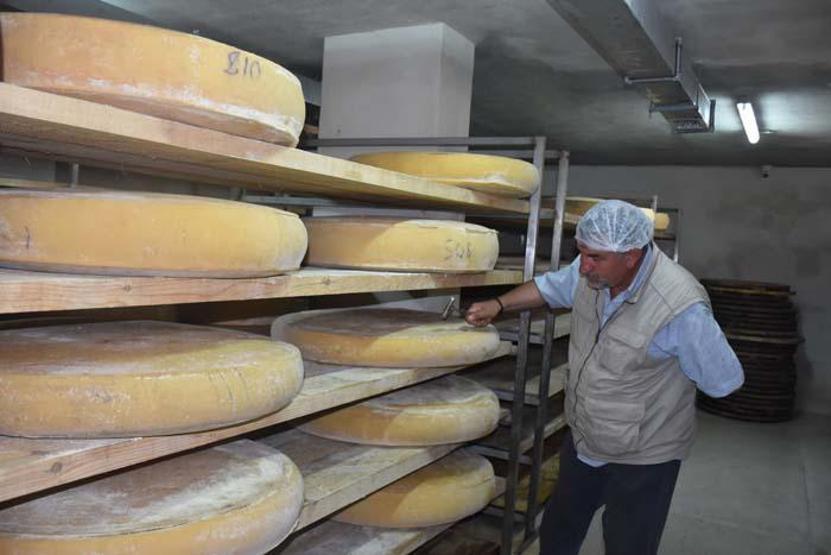 Kars gravyer peynirinin 9 ay süren lezzet yolculuğu