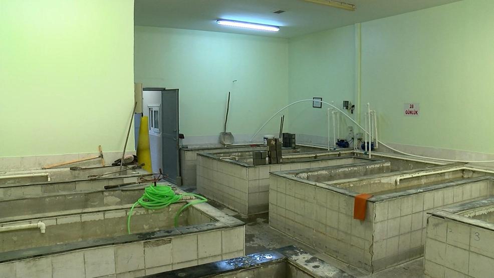 Karot laboratuvarında ürküten sonuç: 2000 öncesi yapılarda tahta ve deniz kabuğu çıktı