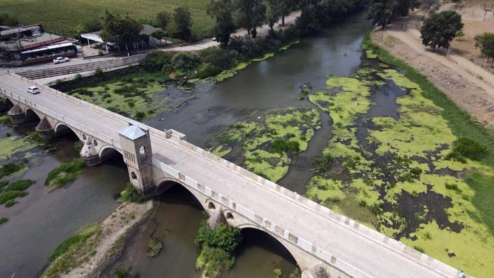 Kuraklık nedeniyle düşen debi su mercimeği kolonilerine yol açtı