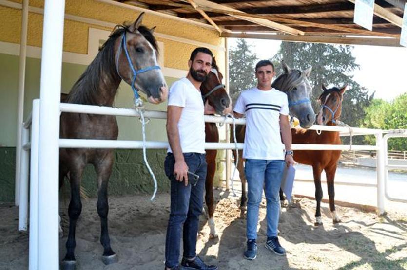 Otomobil fiyatına tay satıldı