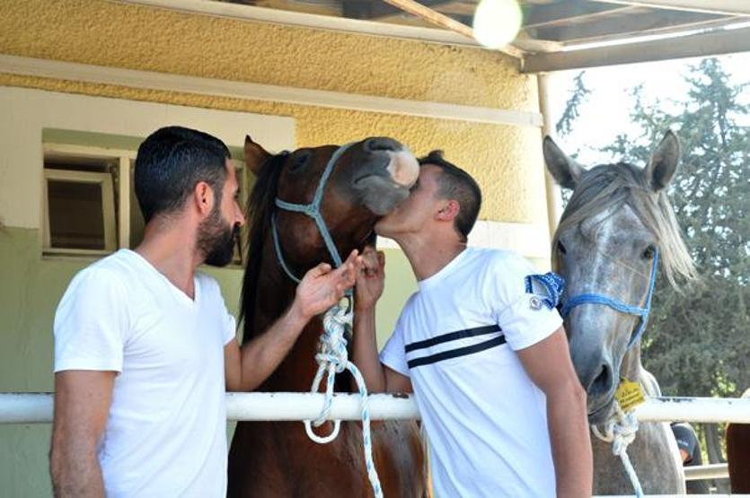 Otomobil fiyatına tay satıldı