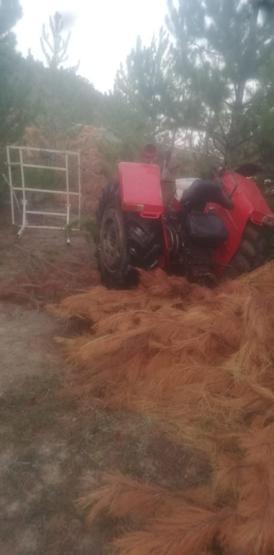 Ağaçlara çarpan traktör 2ye ayrıldı: 1 ölü