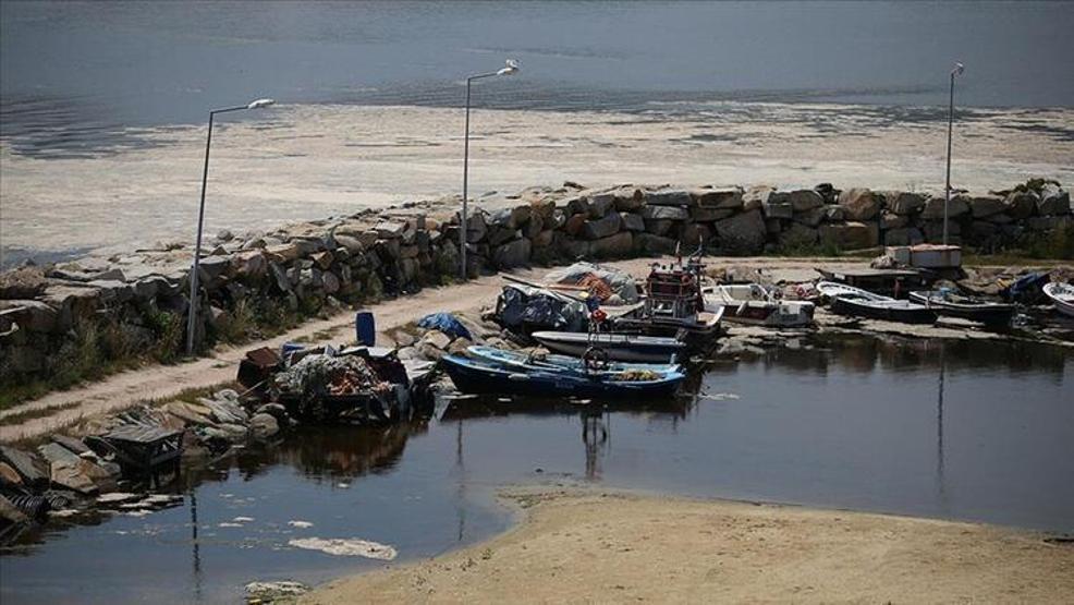 Marmaradan balık yenir mi Uzmanlar yanıtladı