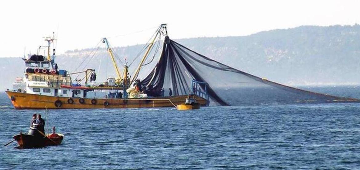 Marmaradan balık yenir mi Uzmanlar yanıtladı