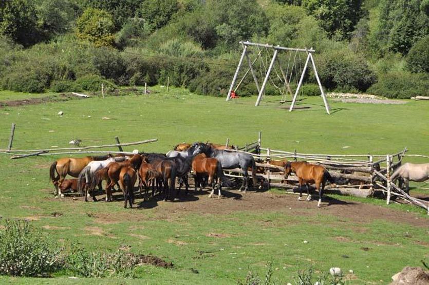 Kırgızistanın Issık Göl bölgesindeki doğa harikası yaylalar Göl, nehirler, şelale ve dev kayalar...