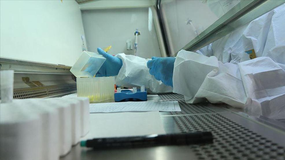 Nerelerde PCR testi istenecek İşte Adan Zye tüm ayrıntılar