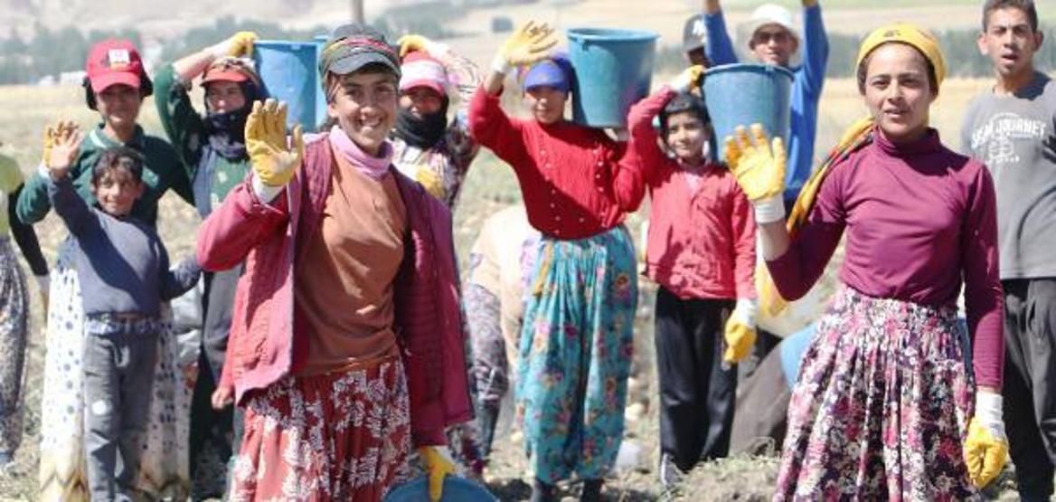 Okullar açıldı, onlar hala tarlada çalışıyor