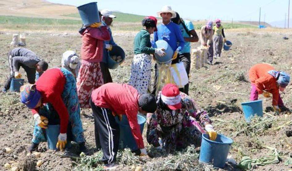Okullar açıldı, onlar hala tarlada çalışıyor