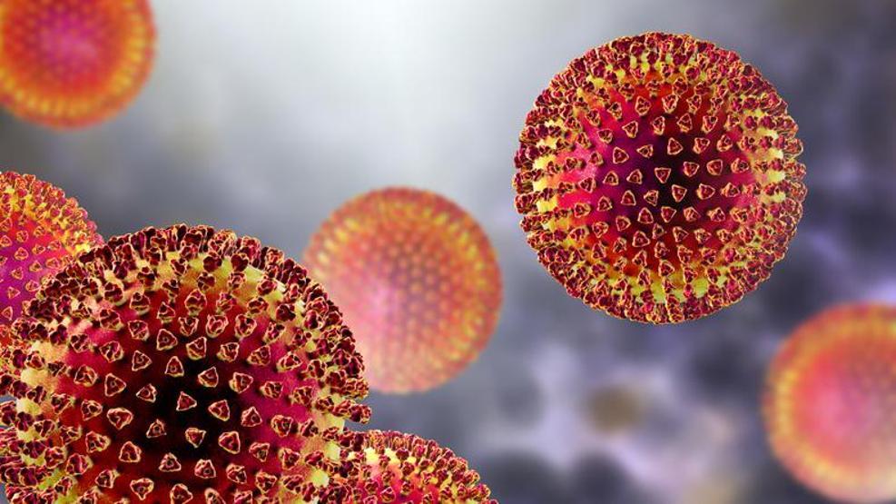 Hindistanda Nipah Alarmı: 12 yaşındaki çocuk hayatını kaybetti, 188 temaslı kişi tespit edildi