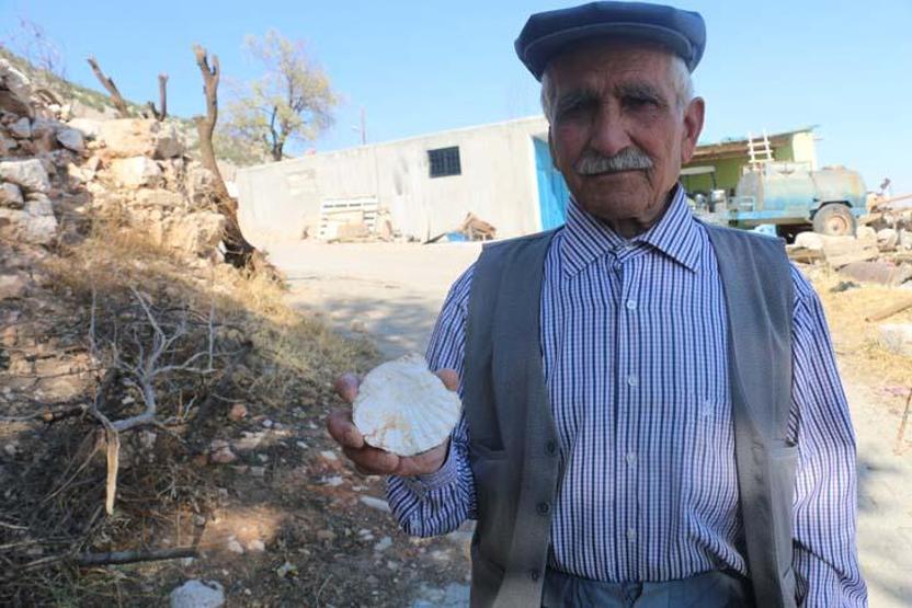 Adıyaman’da köylüler 65 milyon yıllık olduğu değerlendirilen fosil buldu