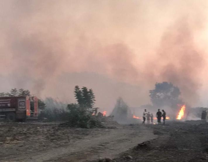 Hatayda sazlık alanda çıkan yangın korkuttu