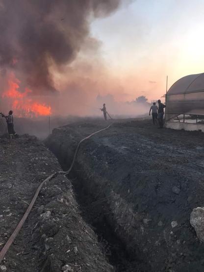 Hatayda sazlık alanda çıkan yangın korkuttu