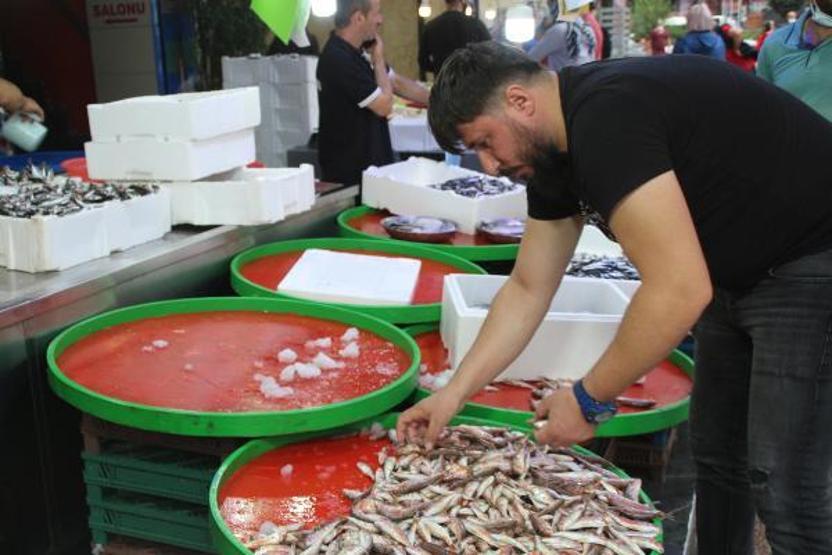 Rize’de kilo fiyatı 5 TL’ye düşen istavrit, kasayla satılıyor