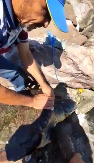 Tek kelimeyle vicdansızlık Balıkçılar fark etti, son anda kurtarıldı