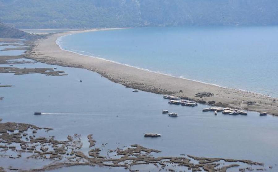Turistlerin gözdesi: Labirent görünümlü Dalyan sazlıkları misafirlerini ağırlıyor