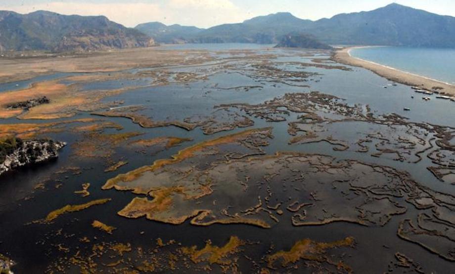 Turistlerin gözdesi: Labirent görünümlü Dalyan sazlıkları misafirlerini ağırlıyor