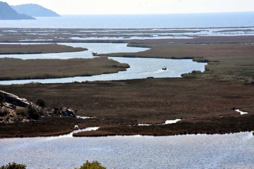 Turistlerin gözdesi: Labirent görünümlü Dalyan sazlıkları misafirlerini ağırlıyor