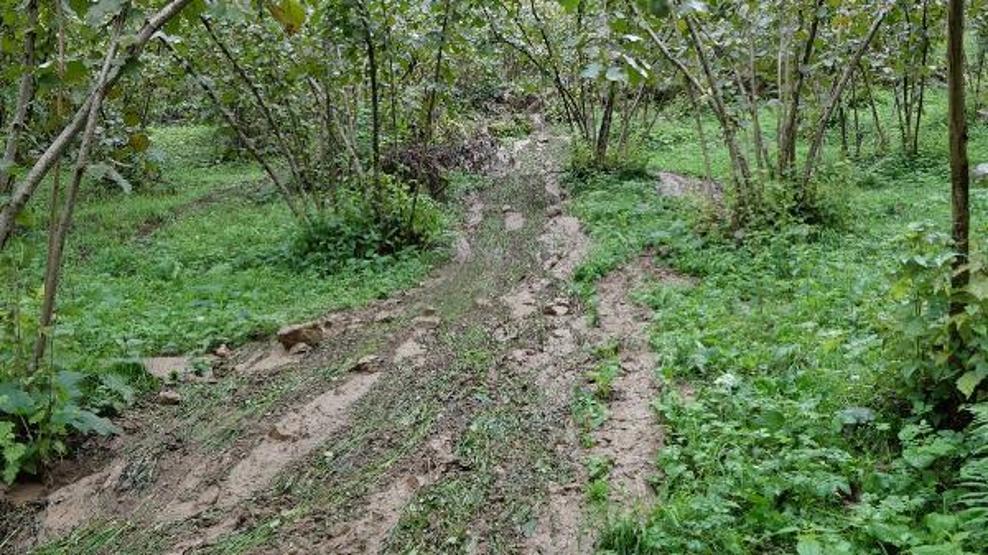 Karadenizde sağanak; Trabzonda ırmak taştı, Rizede heyelan meydana geldi