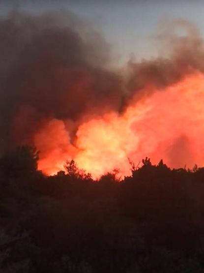 Son dakika Karaburunda korkutan orman yangını