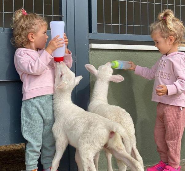 Pelin Akil ve Anıl Altan çifti kızlarıyla çiftlik ziyaretine gitti