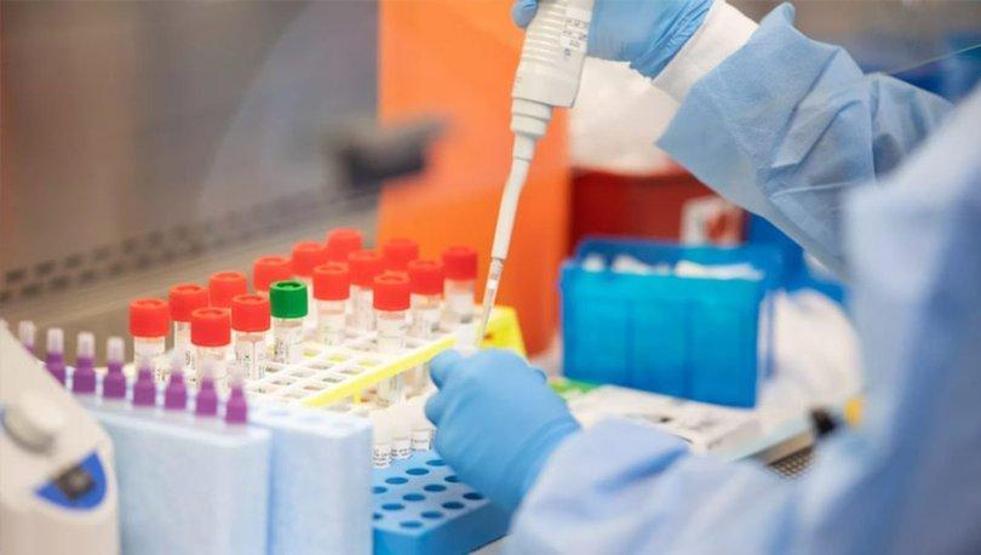 Koronavirüse karşı ilk hap şeklinde ilaç Molnupiravir Salgının seyrini değiştirebilir mi