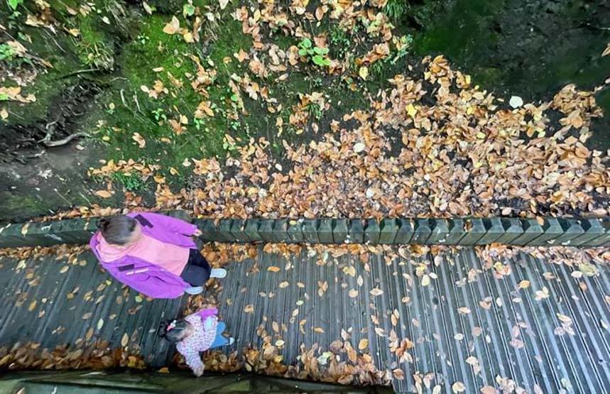 Düzcedeki Aydınpınar Şelalesi Tabiat Parkında sonbahar güzelliği