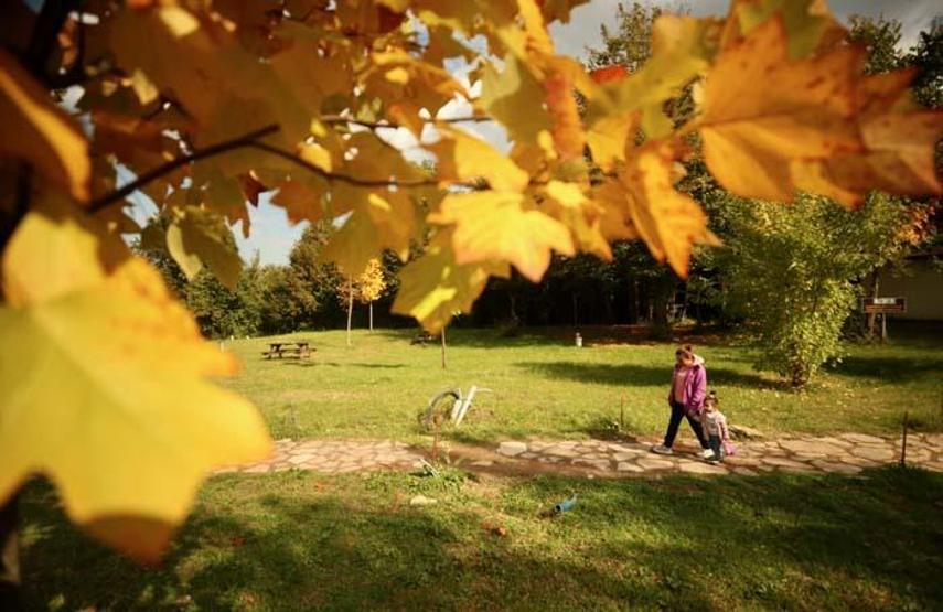 Düzcedeki Aydınpınar Şelalesi Tabiat Parkında sonbahar güzelliği