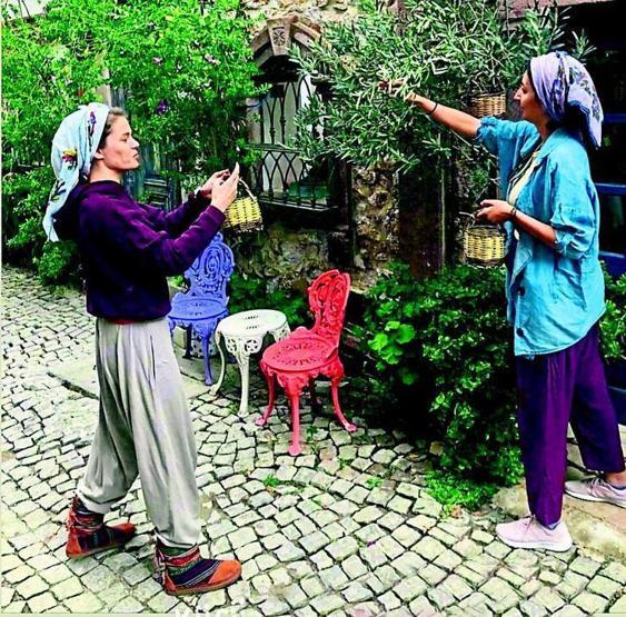 Burcu Biricik zeytin topladı