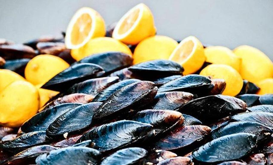 Marmara Denizini midyeler temizleyecek