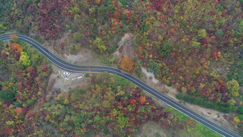 Tekirdağdaki ormanlar sonbahar renklerine büründü