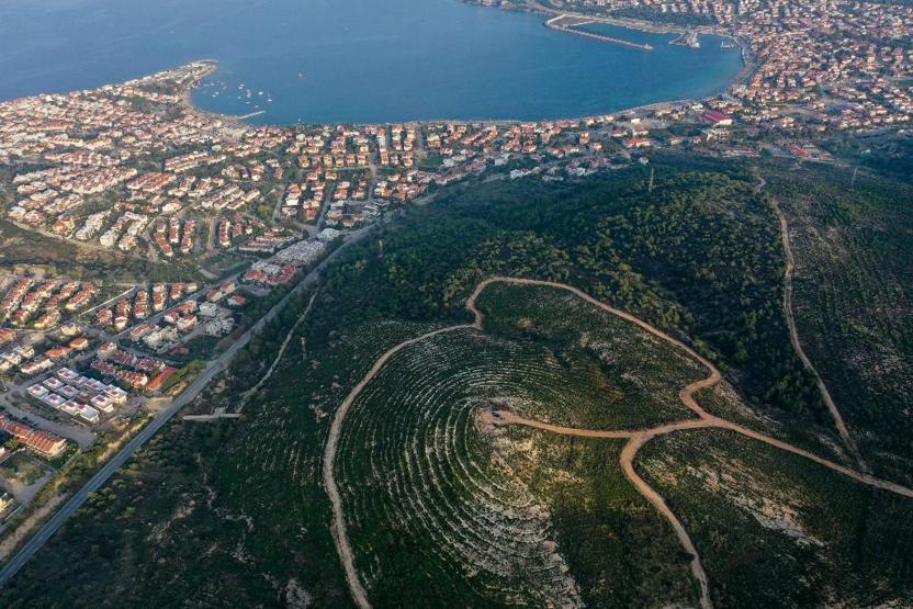 Foça, yangından 4 yıl sonra yeniden yeşerdi