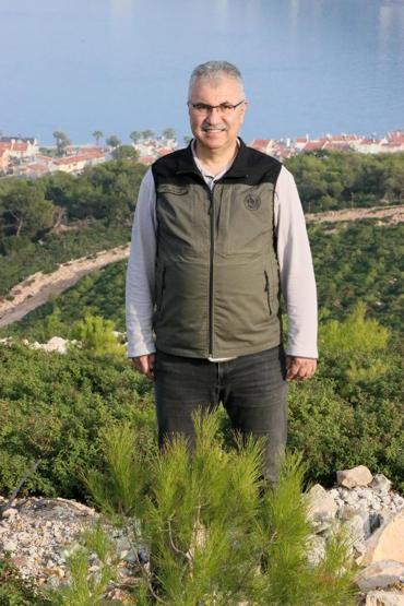 Foça, yangından 4 yıl sonra yeniden yeşerdi