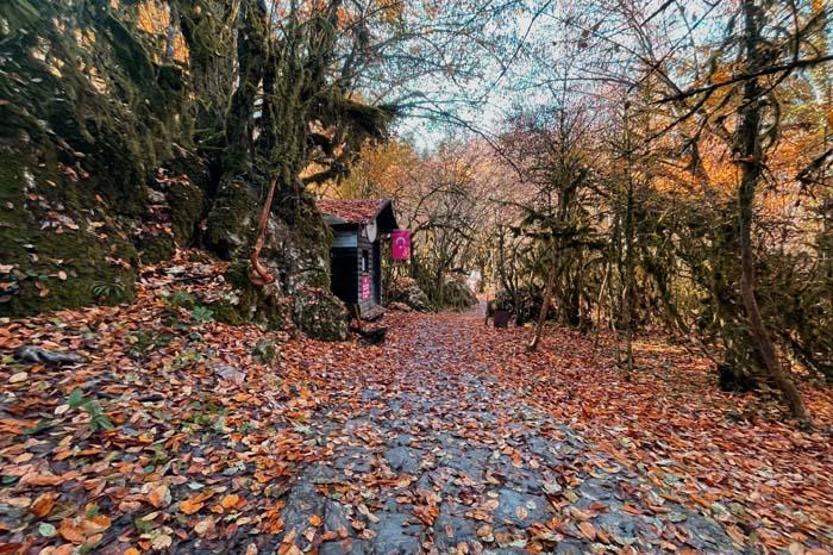 Horma Kanyonu ve Ilıca Şelalesi sonbahar renklerine büründü İçinizi ısıtacak kareler