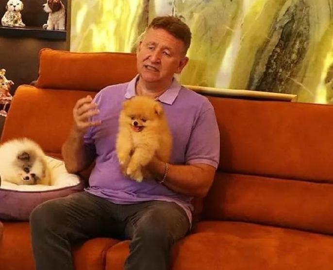 Ünlü köpek eğitmeni, trafik kazasında ağır yaralandı