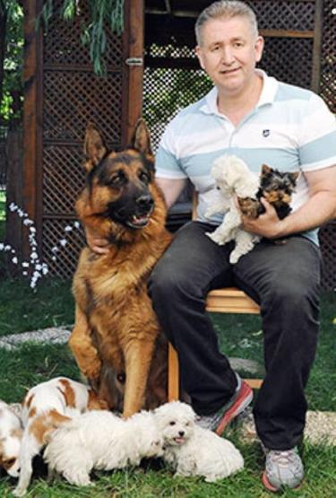 Ünlü köpek eğitmeni, trafik kazasında ağır yaralandı