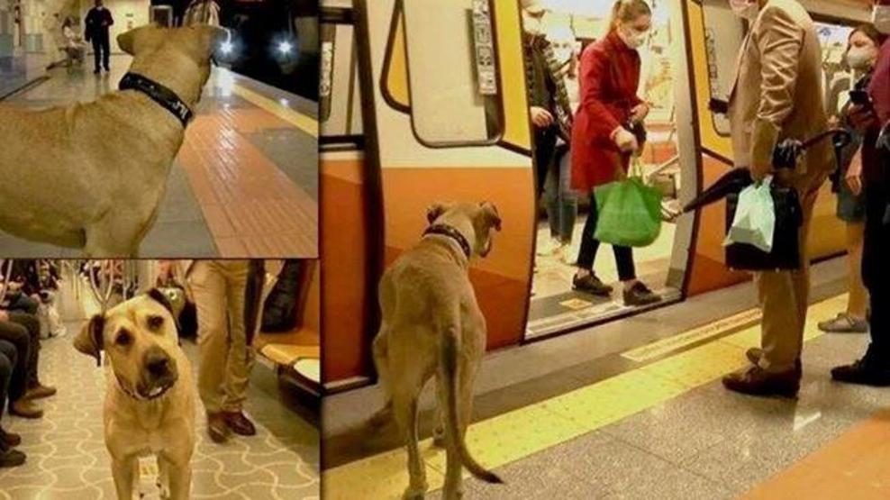 Bojiye atılan iftira güvenlik kamerasında