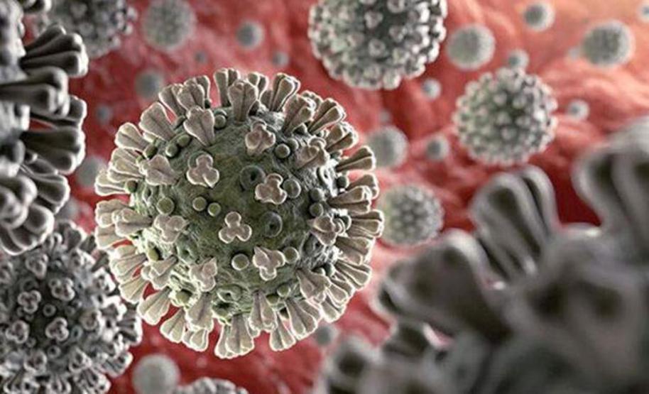 Koronada yeni varyant endişe yarattı: Nu paniği