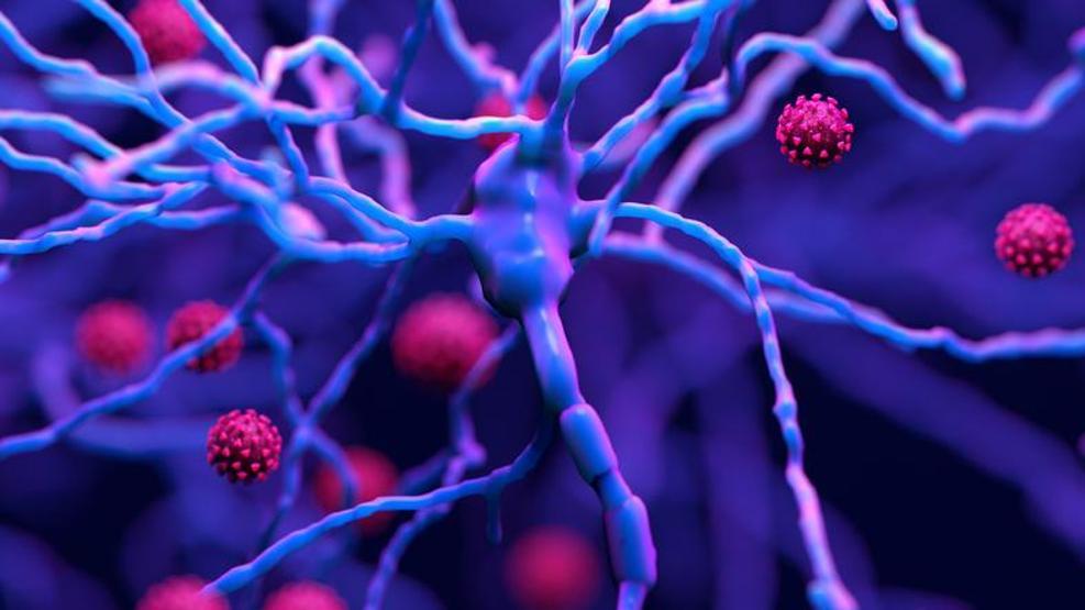 Aşılar Omicron varyantına karşı ne kadar etkili Moderna CEOsu açıkladı