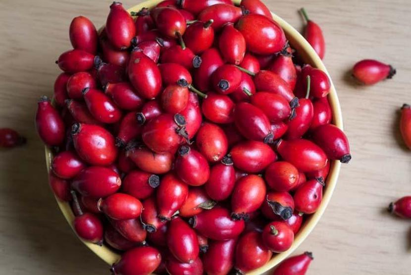 Soğuk algınlığı, nezle ve gribe birebir Kuşburnunun faydaları saymakla bitmiyor