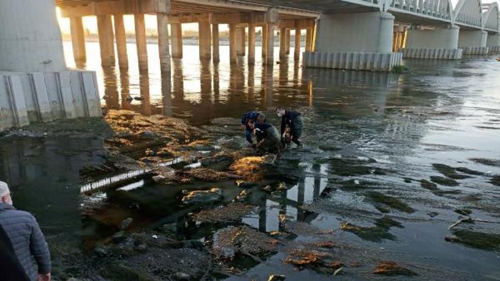 Tarihi köprüden atladı, ağır yaralandı