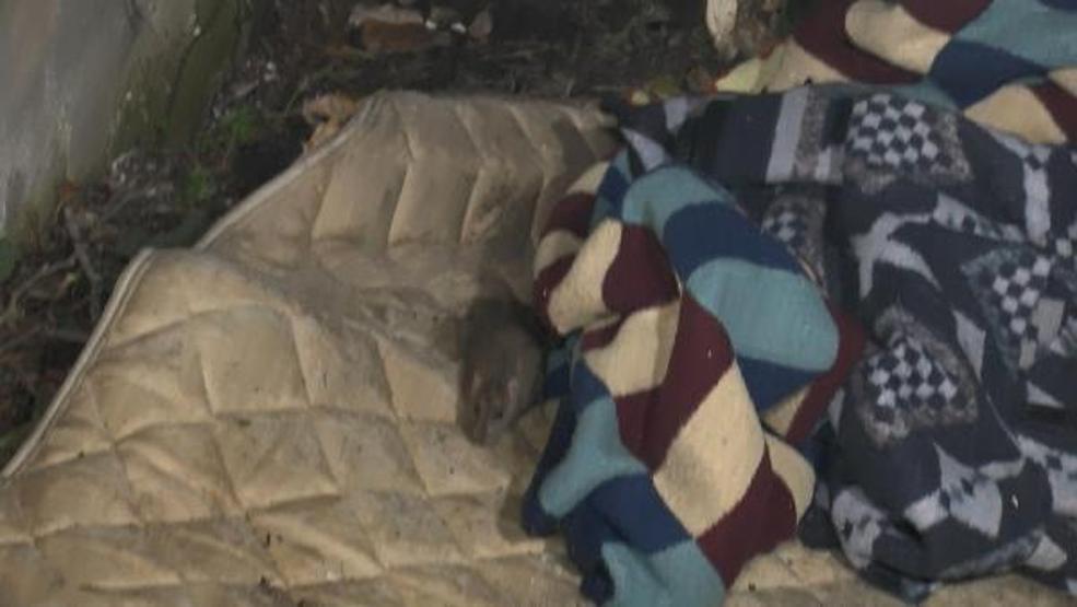 Eşi ve 3 yaşındaki kızıyla depoda yaşıyor